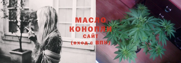 сатива Новокубанск