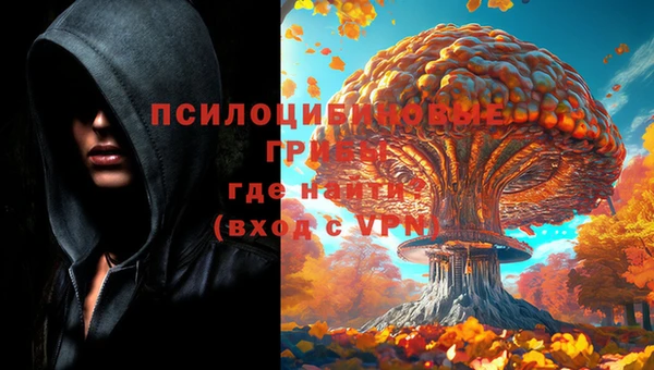 марихуана Новодвинск