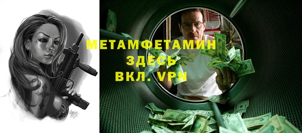 сатива Новокубанск