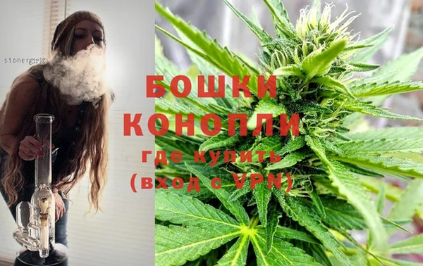 сатива Новокубанск