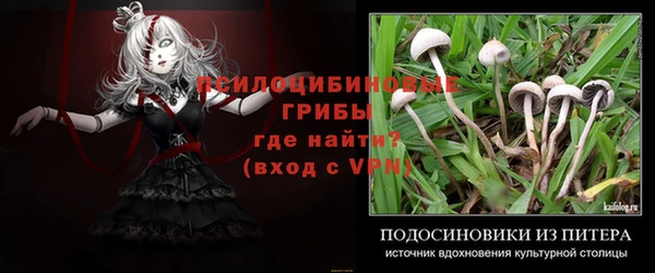 марихуана Новодвинск