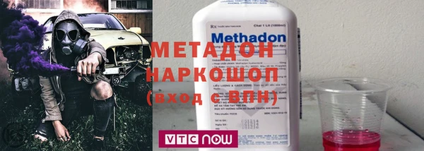 сатива Новокубанск