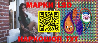 гашик Аргун