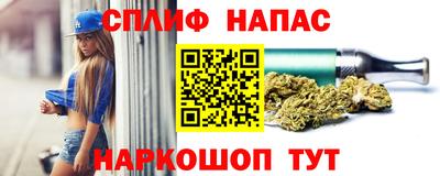 индика Апшеронск
